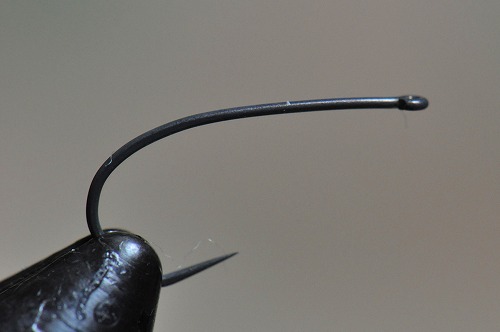 r17-tya.jpg