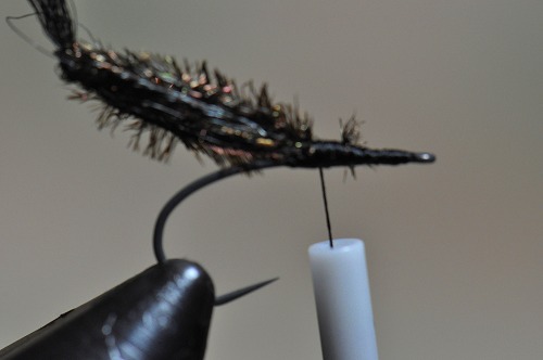 r17-tyf.jpg