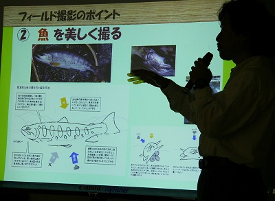 sakana0623.jpg