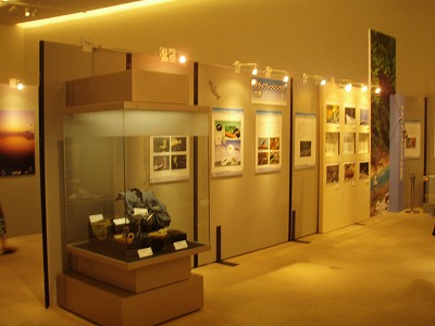 sato0802d.jpg