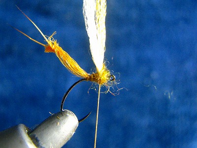 sdh0322b.jpg
