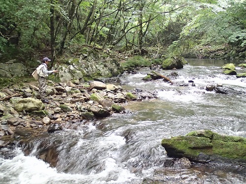 shi0906a.jpg