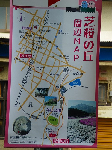 shiba0429d.jpg