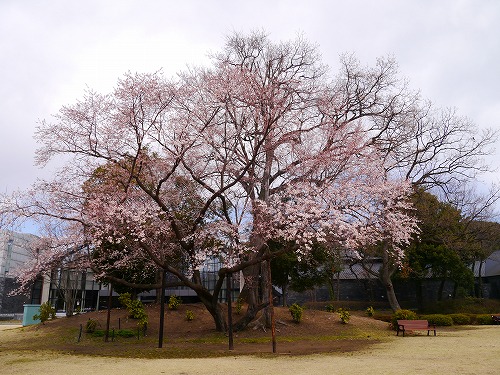 sin0407d.jpg