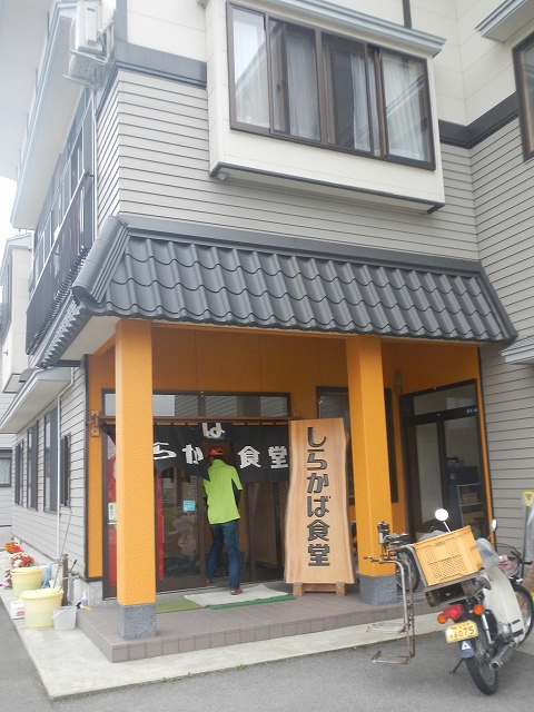 sinjyo0618y.jpg