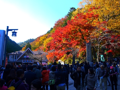 takao1118a1.jpg