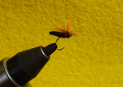 teres0409d.jpg