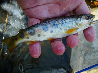tochi0320d.jpg