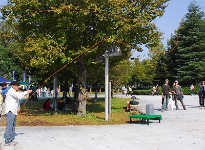 turi1104b.jpg