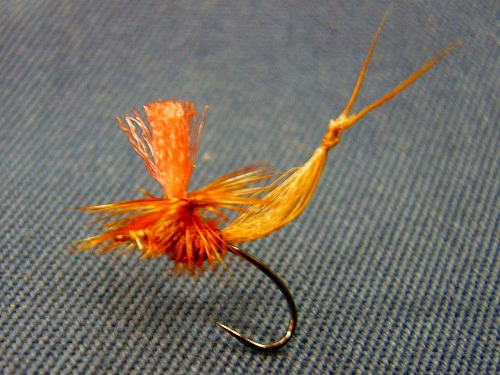 turu0205g.jpg