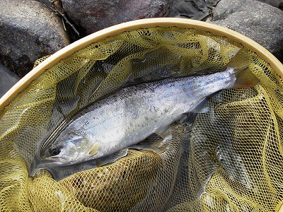 turu020604.jpg
