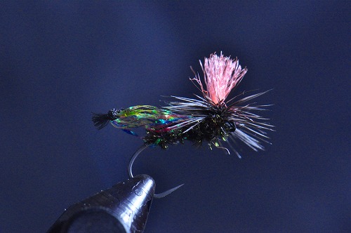 ty1029e.jpg