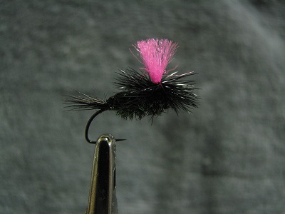 tying1126c.jpg