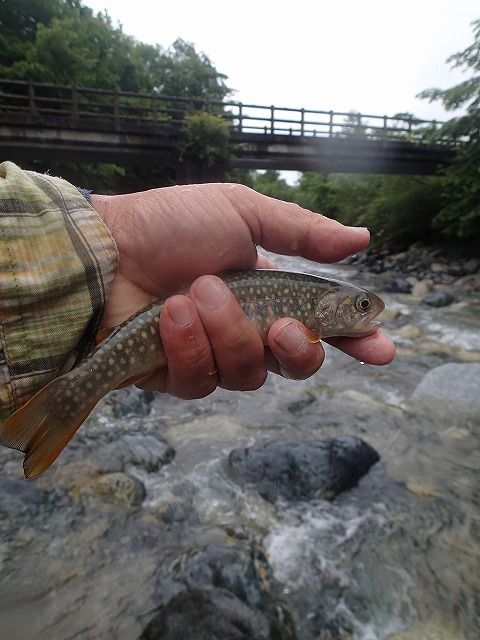 yada0720g.jpg