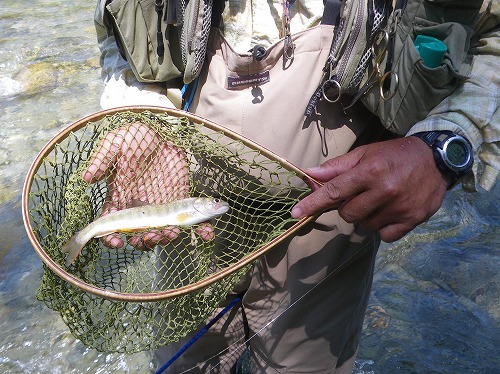 yama0702b.jpg