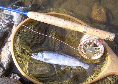 yamame0310b.jpg