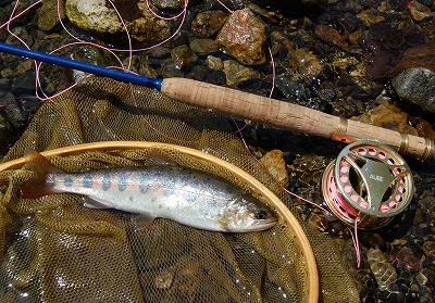 yamame0501.jpg