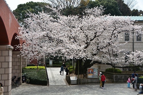 yokou0323b.jpg