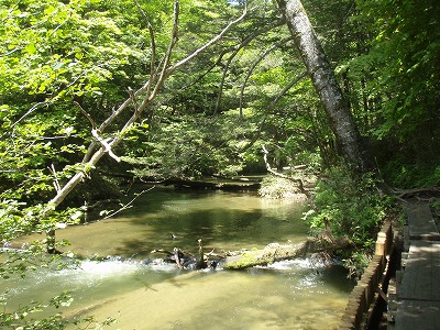 yukawa0613a.jpg