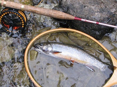 yukawa0613c.jpg