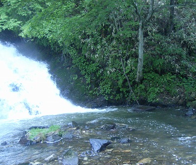 yukawa0613f.jpg