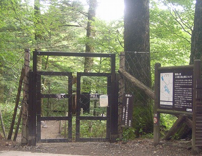 yukawa0815a.jpg