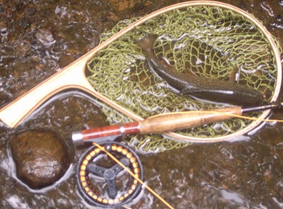 yukawa0815b.jpg