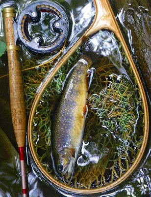 yukawa0828c.jpg