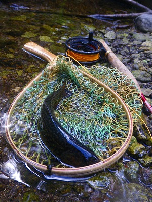yukawa0828g.jpg