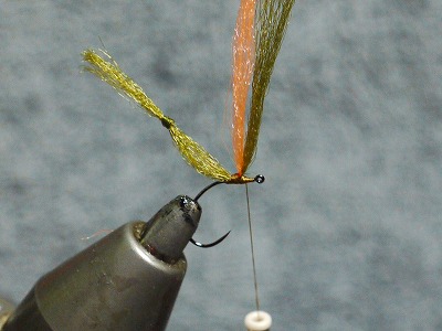 zuru0525c.jpg