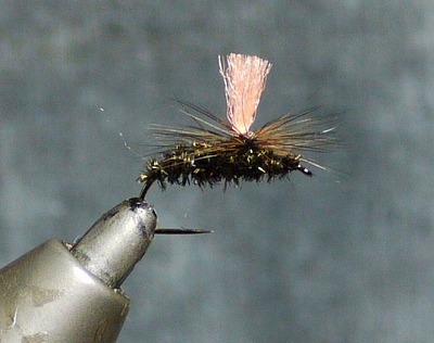 zurup0526a.jpg