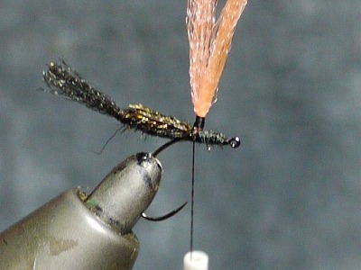 zurup0526f.jpg