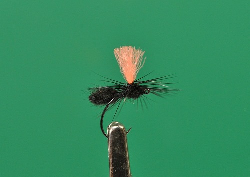 zurusp0815c.jpg